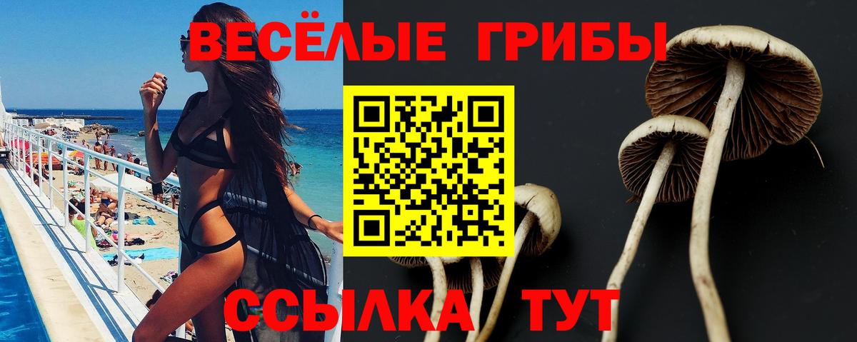 цены наркотик  Галлюциногенные грибы Magic Shrooms  Вход с VPN  Унеча 